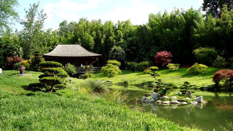 Z téhož místa je i tato „japonská“ zahrada