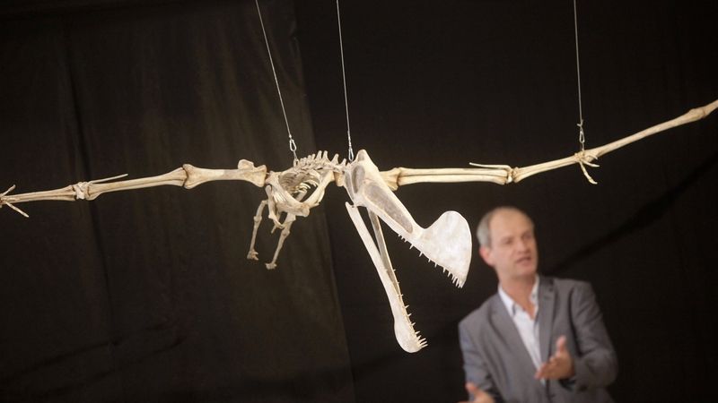 Brazilský paleontolog Alexander Kellner před modelem pterosaura Tropeognathus mesembrinus