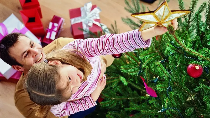 zivy stromek krasne provoni cely byt novinky cz