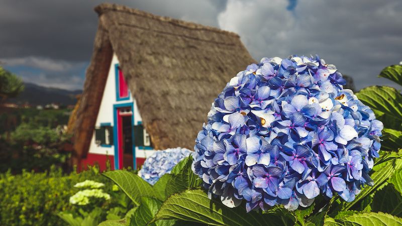 Kam v zimě za teplem do šesti hodin letadlem