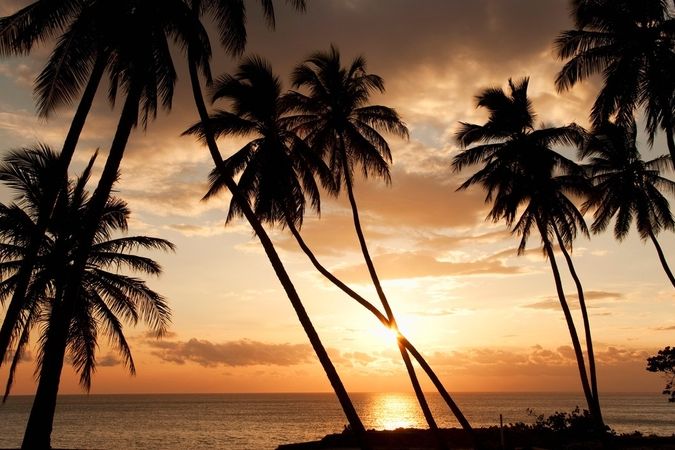 Dominikánská republika je jedna z oblíbených exotických destinací.