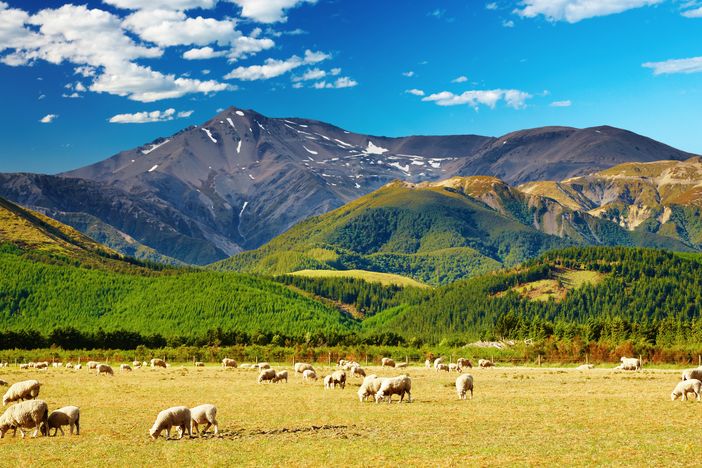 Hory, ovce… krajinka jako vymalovaná od novozélandského Lady.