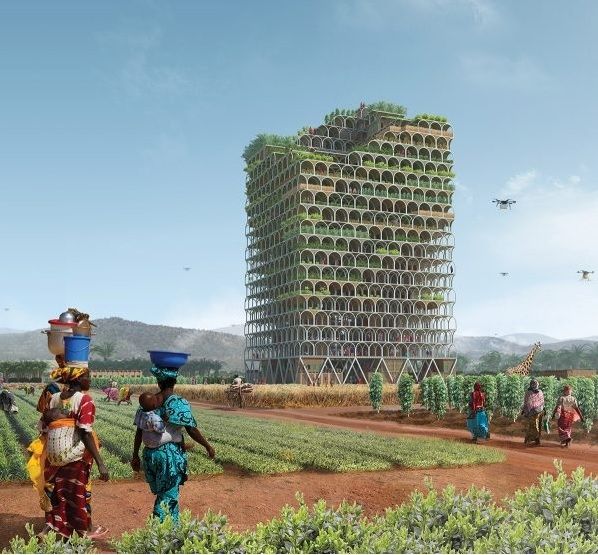 Vítězný projekt nese název Mrakodrap Mashambas. Je určen do prostředí subsaharské Afriky. Jeho autory jsou pošltí architekti Pawel Lipiński a Mateusz Frankowski.