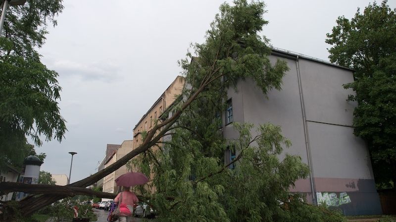 V Magdeburku bouře lámala stromy a ničila elektrické vedení