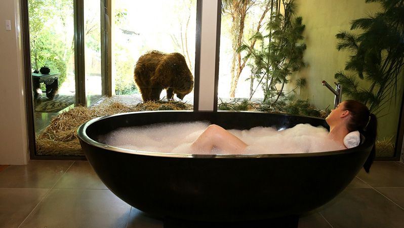 Z volně stojící vany můžete pozorovat medvědy.