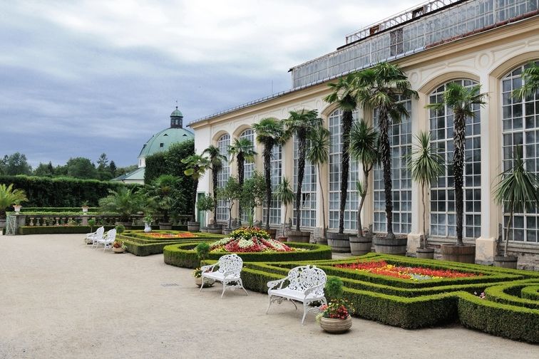 V zámeckých sklenících v Kroměříži si turisté opět prohlédnou kamélie.