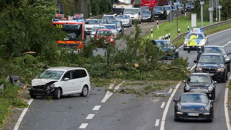 Popadané stromy komplikují dopravu v Hanoveru