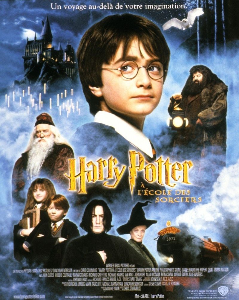 Příběhy o Harrym Potterovi zasáhly a ovlivnily nejmladší čtenářskou generaci. Nejeden domácí mazlíček nesl jméno Harry nebo Hermiona.