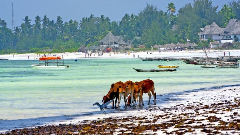 Zanzibar – to je opojný koktejl exotiky, romantiky a různorodých kultur.