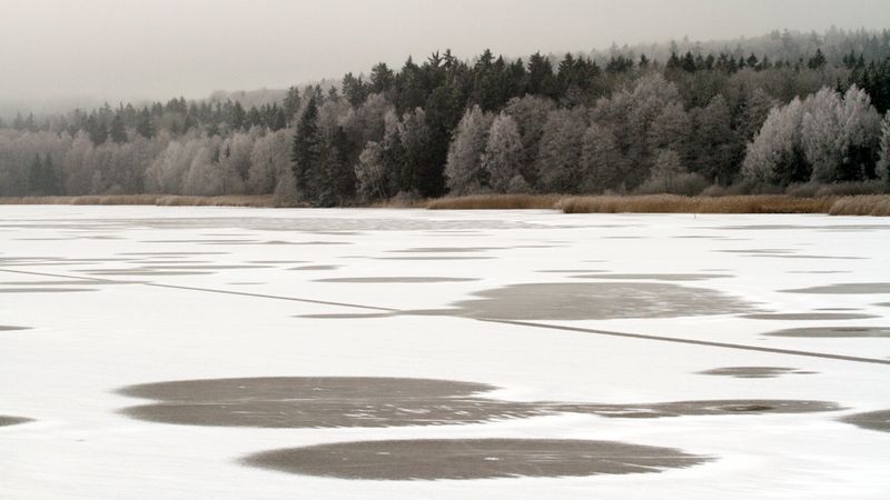 Zamrzlý Hořejší padrťský rybník