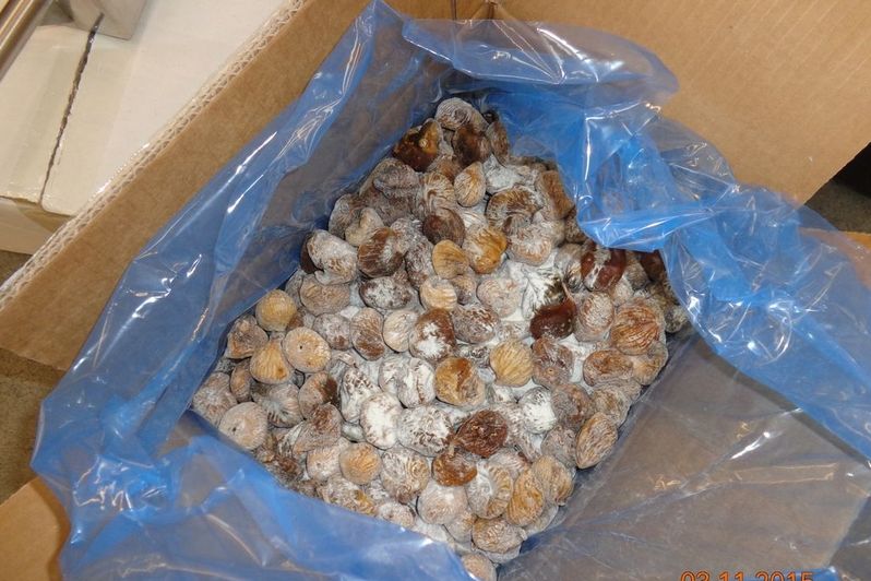 Zadržené sušené fíky z Turecka