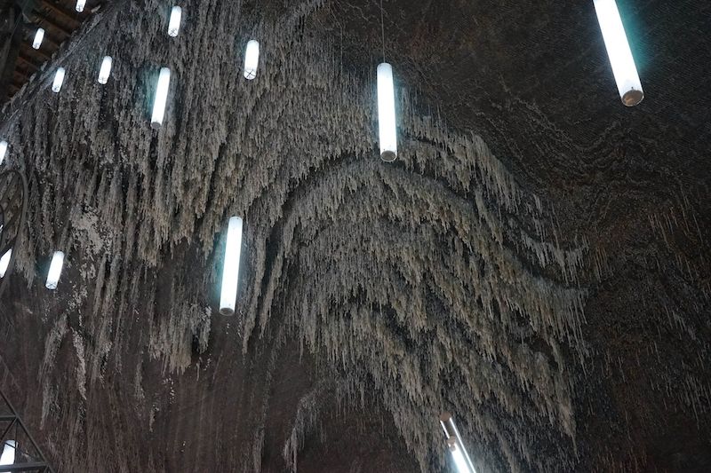 Strop jeskyně tvoří solné krápníky.