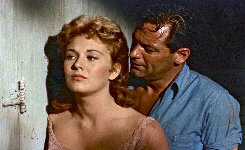 Piknik (1955). Zahrála si v něm kansaskou krásku dobývanou místním pobudou, bývalým fotbalistou, jinak hercem Williamem Holdenem.