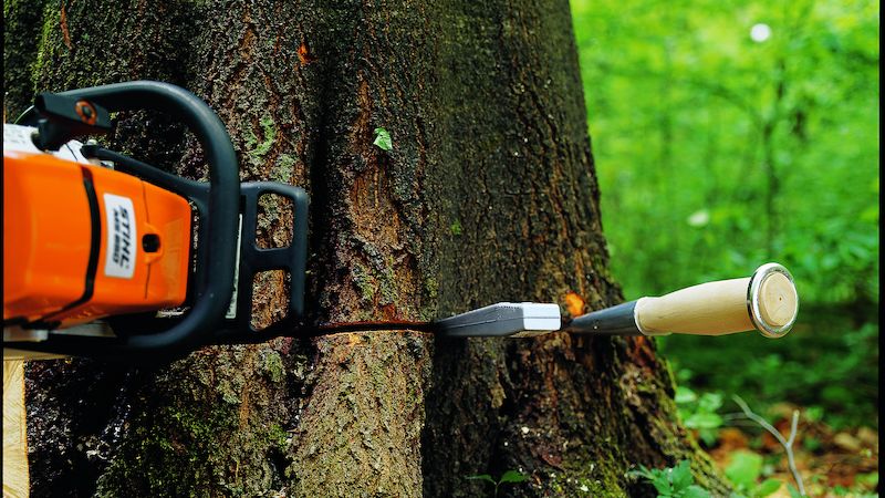 Klíny lze použít nejenom při štípání dřeva, ale také při kácení stromů nebo obecně při řezání pilou, aby dřevo nesvíralo její list.
