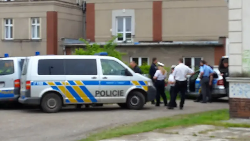 Horni Briza Odskodni Rodice Zavrazdene Knihovnice I Manzelku