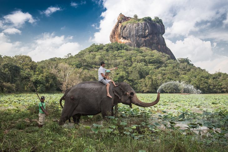 Zátiší: Sigiriya se slonem.