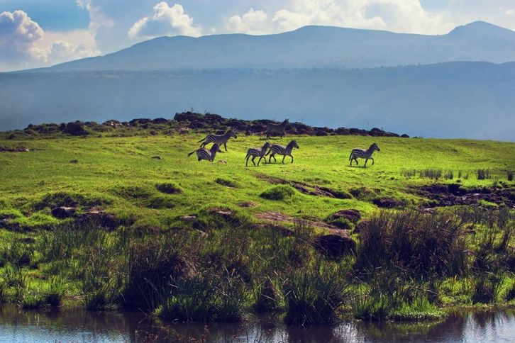 Kráter Ngorongoro je považovaný za osmý div světa. Jde o jedno z nejslavnějších míst Afriky.