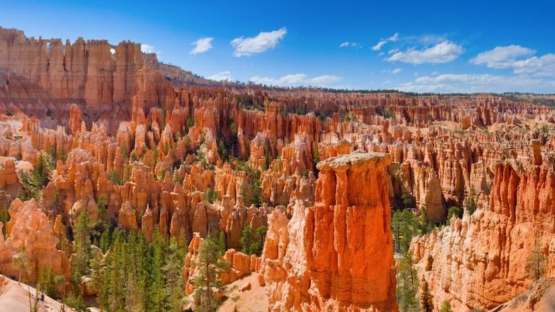 Vápencové a pískovcové věžičky jsou symbolem Bryce Canyonu.