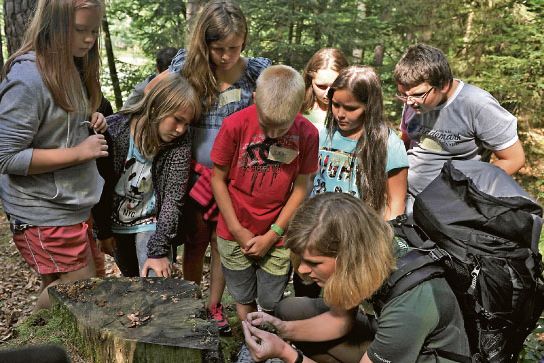 Na lekci lesní pedagogiky se mohou vypravit děti například do romantického prostředí přehrady Les Království na Královédvorsku.