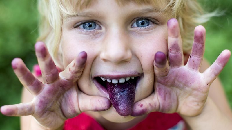 Na dětech, které mají rády borůvky, je to obvykle vidět.