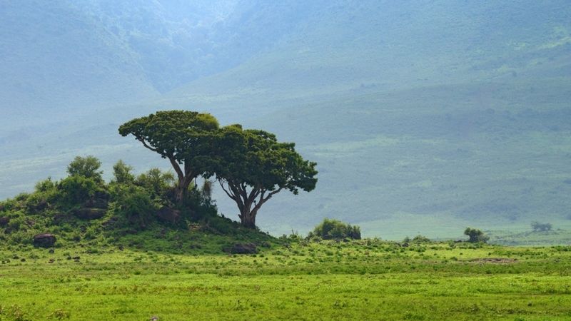 Takhle to vypadá uvnitř tzv. osmého afrického divu světa neboli kráter Ngorongoro.