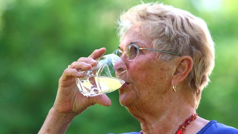 Starší lidé by měli podle nutriční specialistky pít denně litr a půl vody nebo ředěných ovocných šťáv, a nezakáže-li to ze zdravotních důvodů lékař, i sklenku alkoholu.