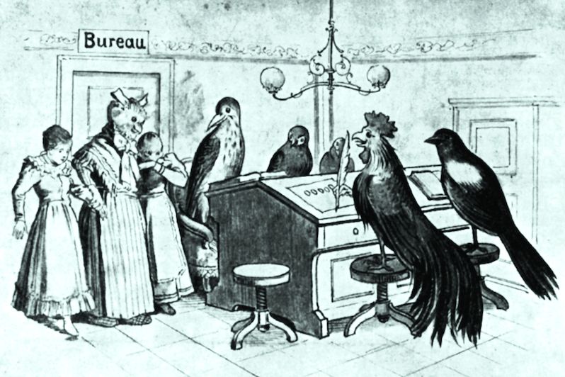 Drozd a Kohout před soudem v soudobé karikatuře - žena se soví hlavou je Anna Mádlová.