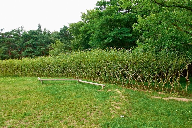 Vrbové ploty jsou z prutů speciálně vyšlechtěné vrby, pruty o délce až 7 m se ohýbají, proplétají a svazují do požadovaného tvaru v době vegetačního klidu. Vrbičky pak čekají na jaro, kdy po celé jejich délce začnou vyrážet zelené výhonky. 