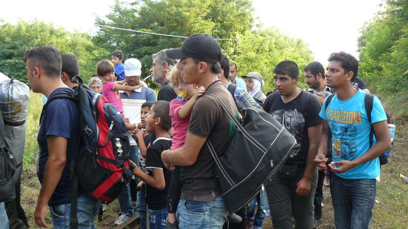 Skupina migrantů přechází ze Srbska do Maďarska