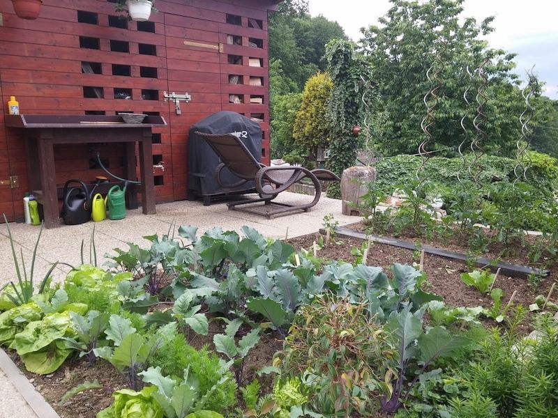 Část zahrady slouží jako zeleninová.