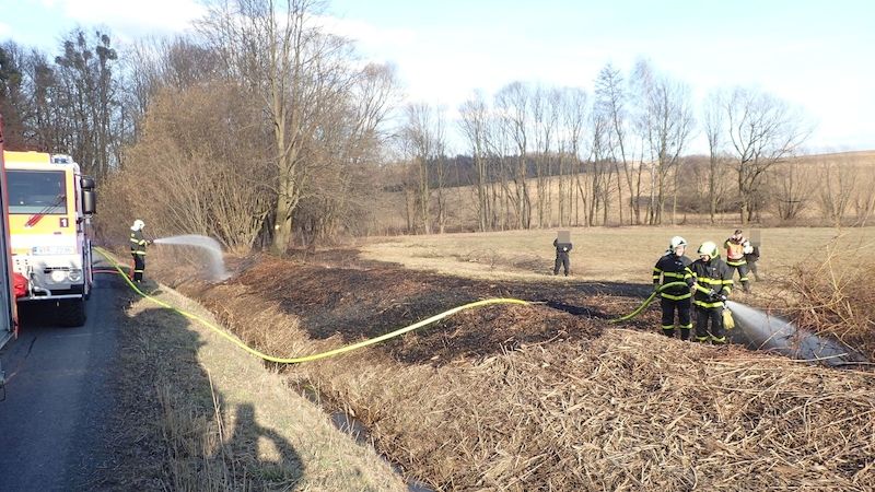 Moravskoslezští hasiči likvidují požár porostu v Bludovicích.