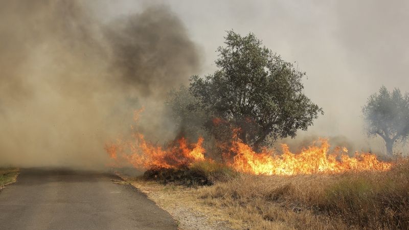 Požár u Macaa ve středním Portugalsku