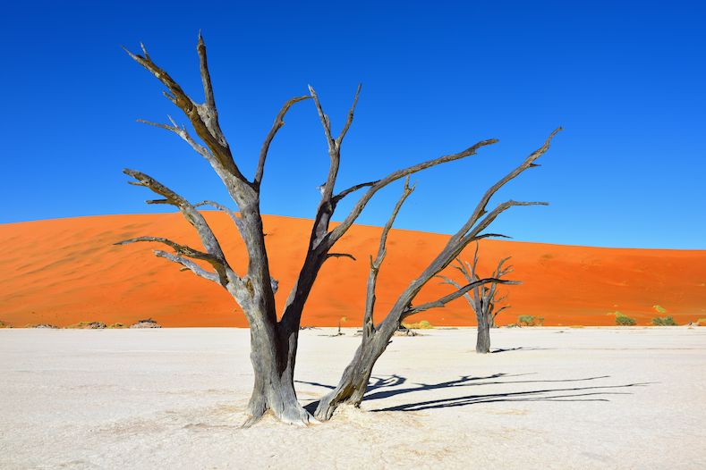 Sossusvlei rozhodně není nudná jednobarevná poušť.