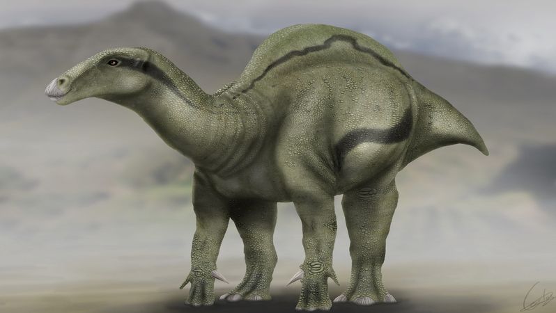 Nový druh dinosaura Morelladon beltrani