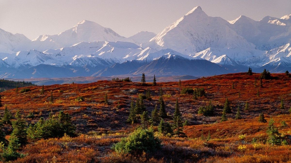 V národním parku Denali se nachází nejvyšší hora Severní Ameriky. 