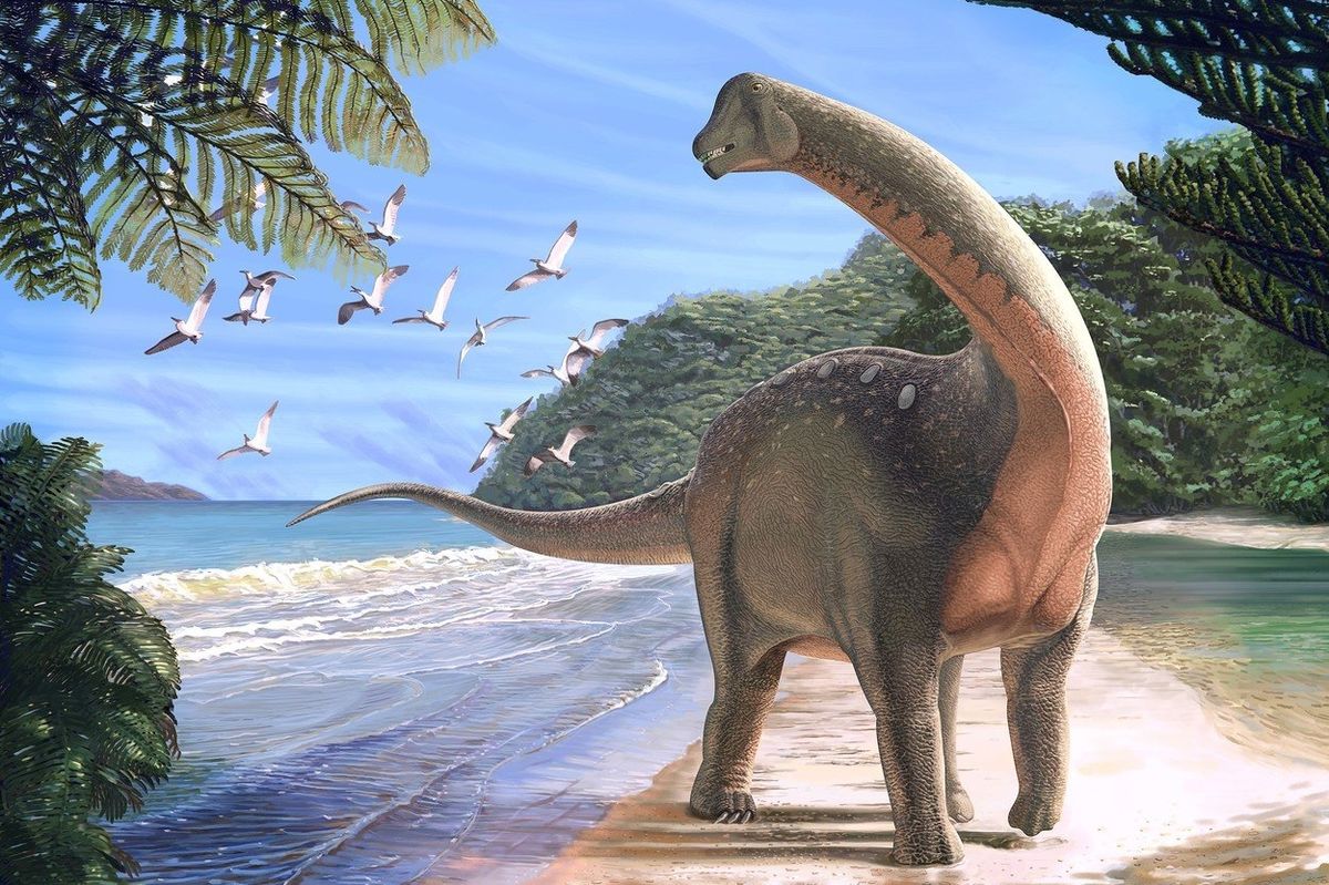 Předpokládaná podoba dinosaura mansourasaurus shahinae.