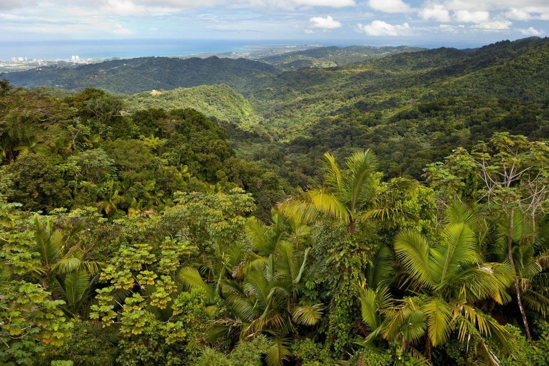 Rezervace s tropickým deštným lesem El Yunque u města Luquillo