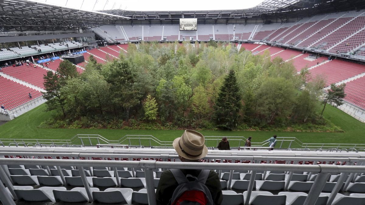 Jeden z návštěvníků pozoruje les, který vyrostl uprostřed fotbalového stadionu.