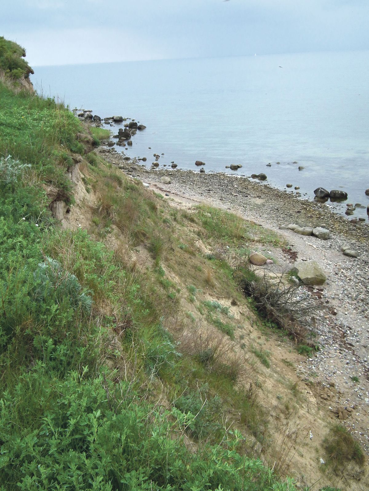 Nejvýznamnější naleziště jantaru na světě leží na jižním pobřeží Baltského moře.