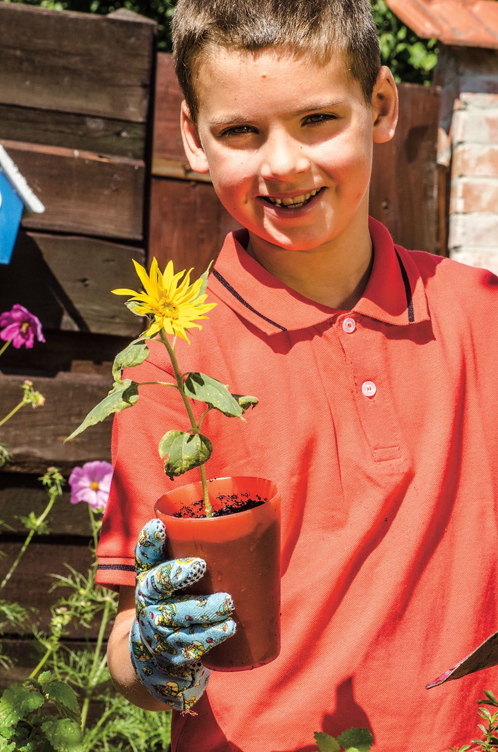 Slunečnice jsou často první rostlinou, terou si děti samy vypěstují. Líbí se jim rychlý růst i zářivé květy.