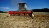 Europarlamentem prošlo zastropování zemědělských dotací, Agrofert může přijít o peníze