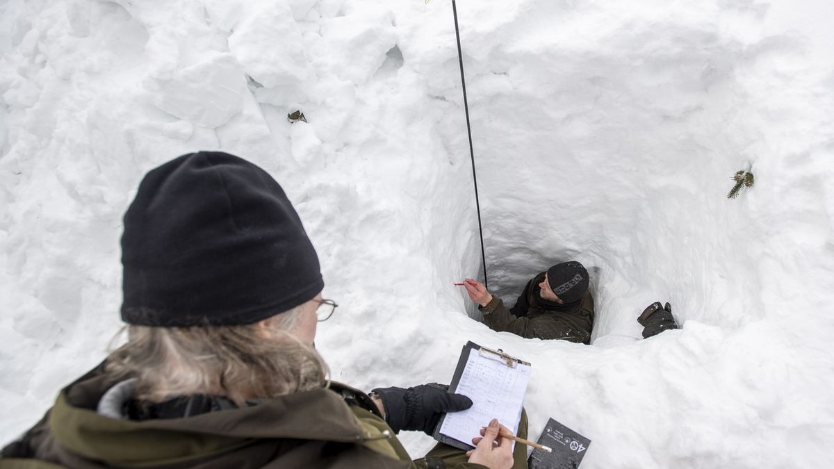 Botanik Vojtěch Zavadil (vlevo) a hydrobiolog Adam Bednařík měřili množství sněhu v lavinovém Labském dole v Krkonoších.