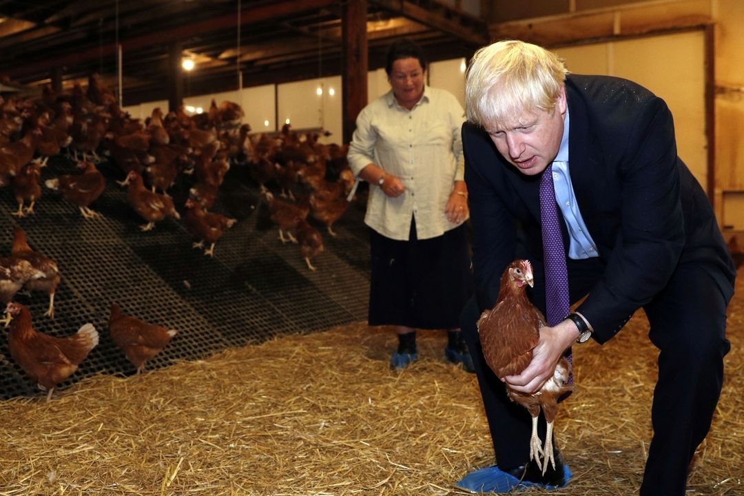 Britský premiér Boris Johnson se pro své plány snažil přesvědčit i velšské zemědělce.