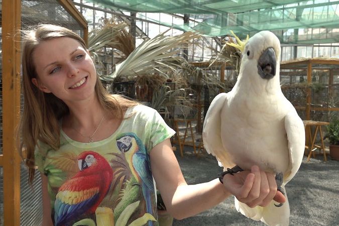 Pražská botanická zahrada na Albertově pořádá výstavu exotického ptactva