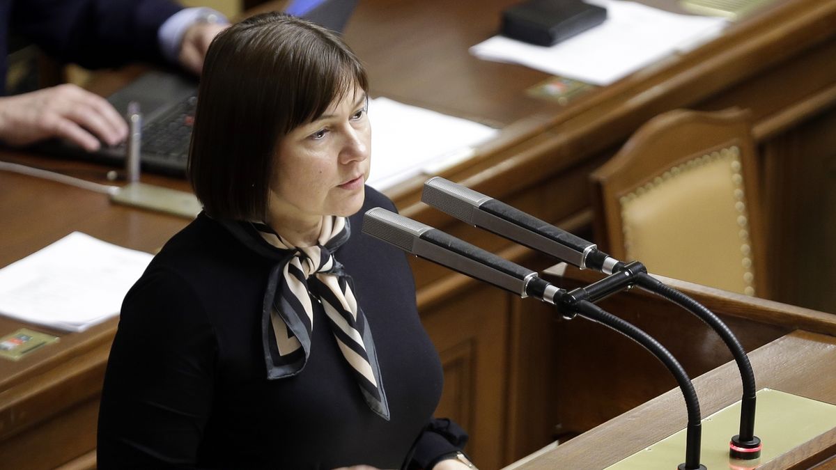 Předsedkyně rozpočtového výboru Miloslava Vostrá (KSČM).