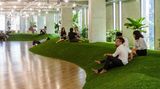 Zelená kancelář nabízí pracovní prostředí připomínající park
