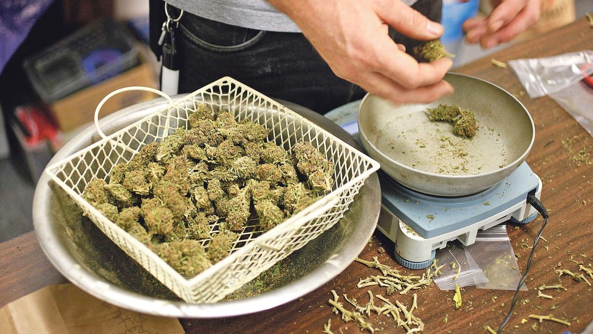 O léčbu konopím se hlásí víc lékařů navzdory nesmyslné byrokracii
