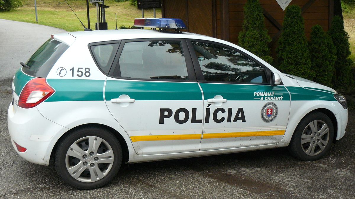 Slovenská policie. Ilustrační foto