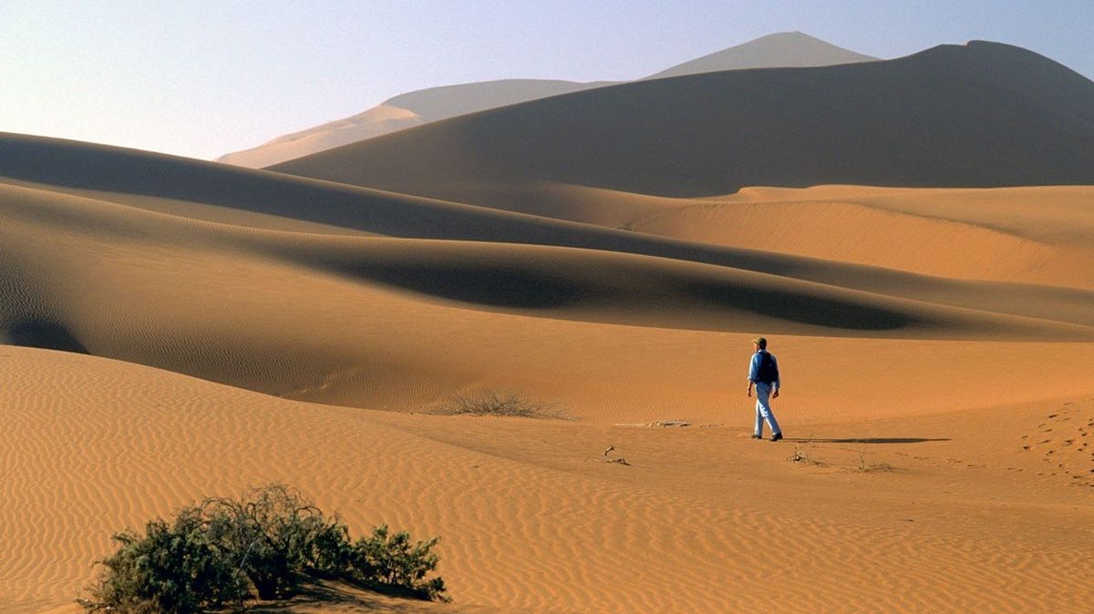 Namibie má zelené národní parky, ale i podmanivou poušť. 