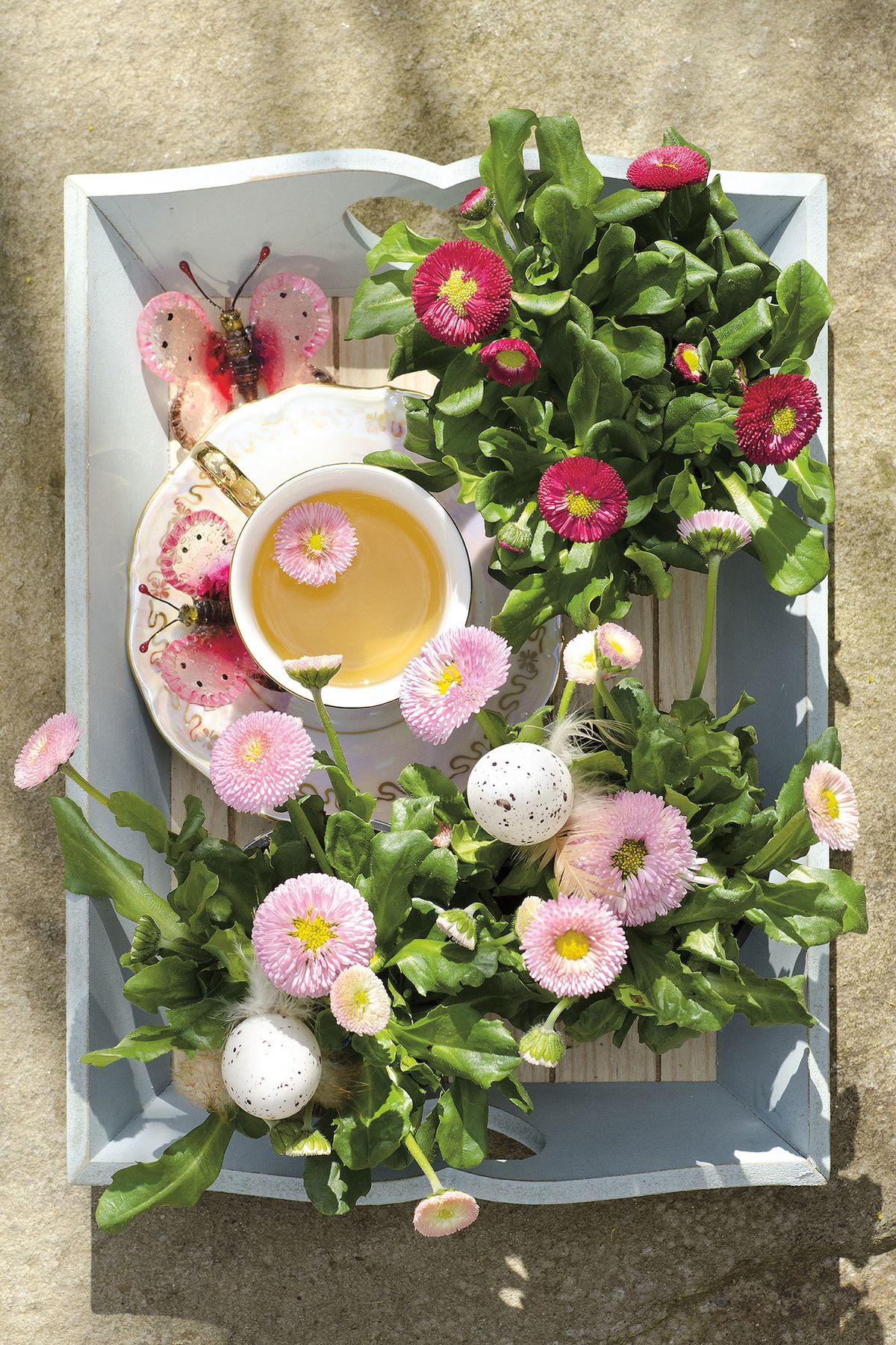 Veselo u snídaně Sedmikrásky s úbory v něžných odstínech rozzáří každé nové ráno.